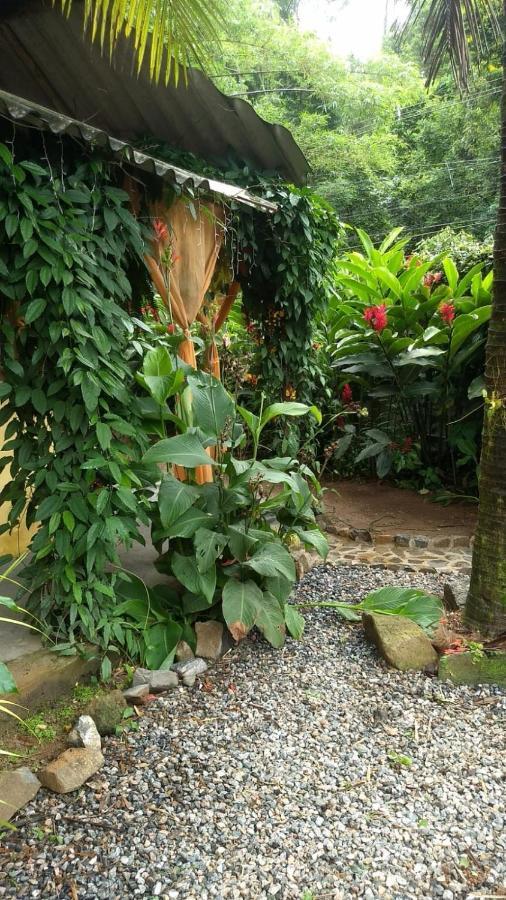 Suíte Cocaia Ilhabela Exteriér fotografie