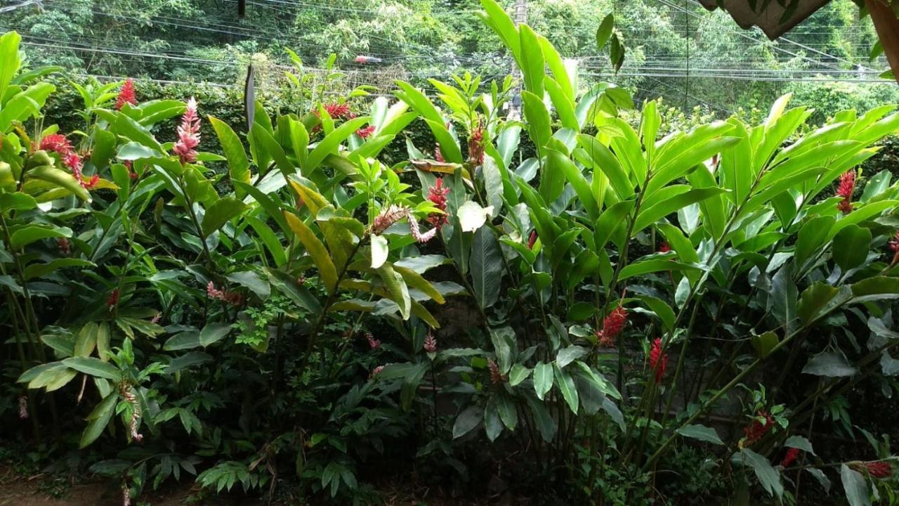 Suíte Cocaia Ilhabela Exteriér fotografie