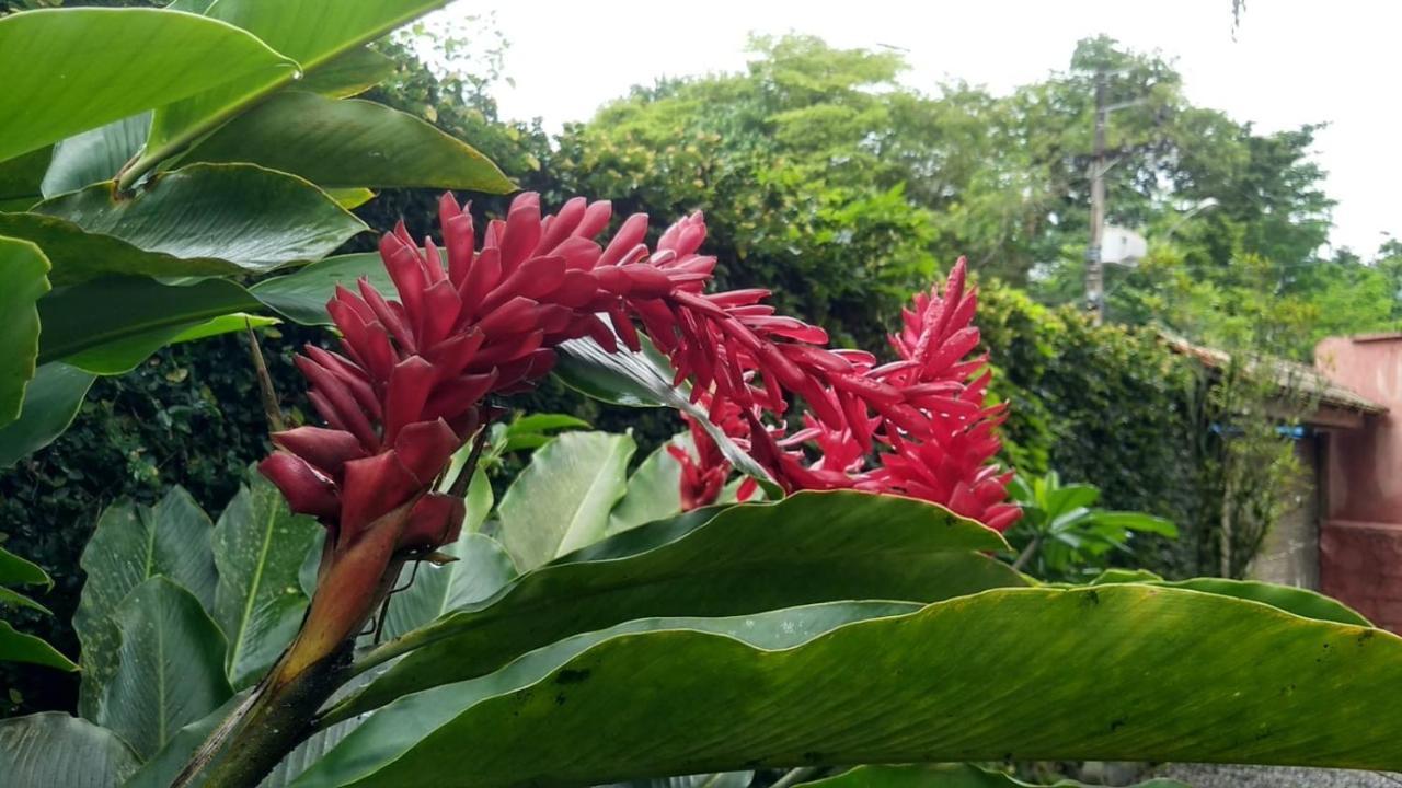 Suíte Cocaia Ilhabela Exteriér fotografie